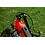 Roxform Roxform Ignis