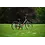 Roxform Roxform Stride S