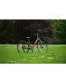 Roxform Roxform Stride S