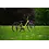 Roxform Roxform Stride S