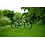 Roxform Roxform Valor S Green