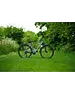 Roxform Roxform Valor S Green