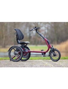 Van Raam Vanraam Easyrider Compact