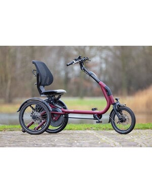 Van Raam Vanraam Easyrider Compact