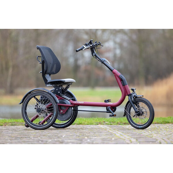 Van Raam Vanraam Easyrider Compact
