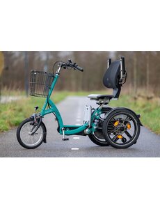 Van Raam Van Raam Easy Go Mobility bike