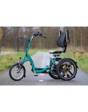 Van Raam Van Raam Easy Go Mobility bike