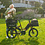 Tern Tern Quicl Haul D8 400W