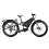 Tern Tern Orox S12 Gen 1 800W