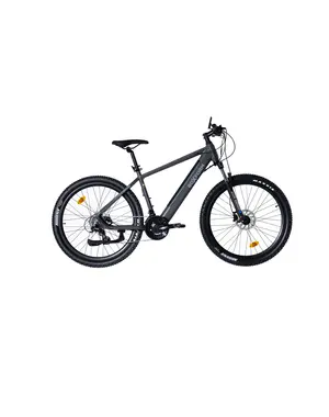 Roxform Roxform Gravion
