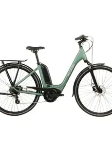  Raleigh MOTUS Low Step Vintage Green 54cm