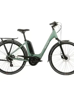  Raleigh MOTUS Low Step Vintage Green 54cm