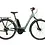 Raleigh MOTUS Low Step Vintage Green 54cm