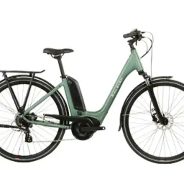 Raleigh MOTUS Low Step Vintage Green 54cm
