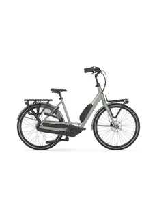  Gazelle Bloom C310