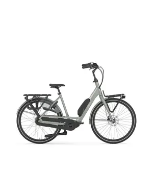  Gazelle Bloom C310