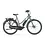 Gazelle Esprit C7 Low-Step Frame