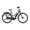 Gazelle Esprit C7 Low-Step Frame