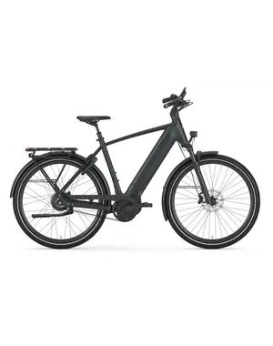  Gazelle Ultimate C380 High-Step Frame