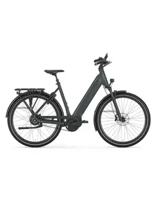  Gazelle Ultimate C380 Low-Step Frame