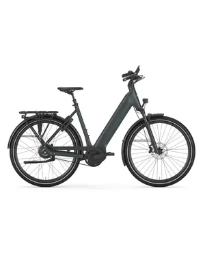  Gazelle Ultimate C380 Low-Step Frame