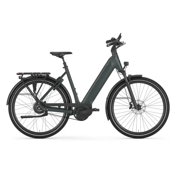 Gazelle Ultimate C380 Low-Step Frame