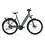 Gazelle Ultimate C380 Low-Step Frame