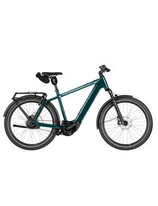 Riese & Muller Riese&Muller Charger5 vario Medium, Pine, Kiox500, Carrier, 800Wh, Frame Lock with Bag, Suspension Seatpost, F01836_0211322013252107