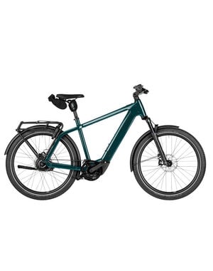 Riese & Muller Riese&Muller Charger5 vario Medium, Pine, Kiox500, Carrier, 800Wh, Frame Lock with Bag, Suspension Seatpost, F01836_0211322013252107