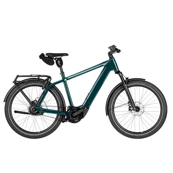 Riese & Muller Riese&Muller Charger5 vario Pine, Kiox500, Carrier, 800Wh, Frame Lock with Bag, Suspension Seatpost, F01836_0211322013252107