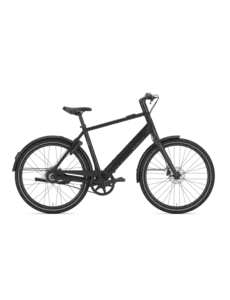  Gazelle Curb C1 High-Step