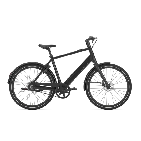 Gazelle Curb C1 High-Step