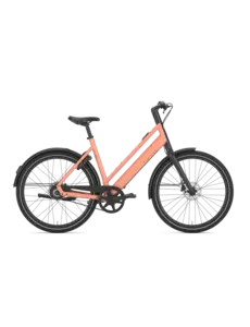  Gazelle Curb C1 Low-Step