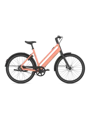  Gazelle Curb C1 Low-Step