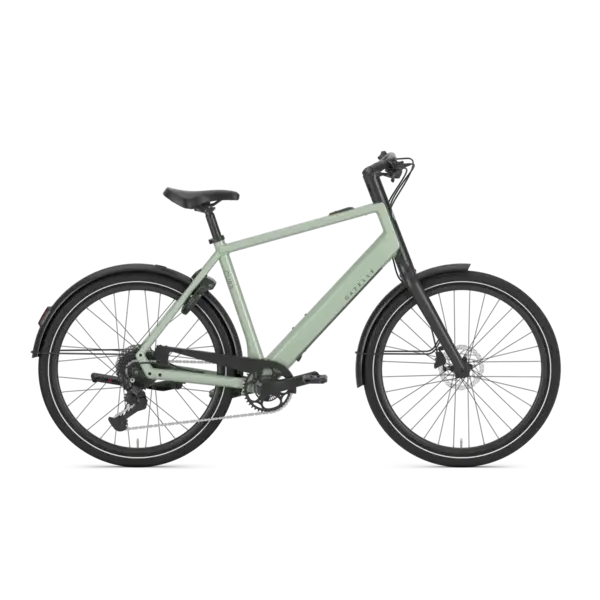 Gazelle Curb T9