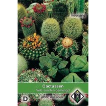 Cactusmengsel