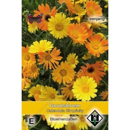 Van Hemert & Co Goudsbloem (Calendula officinalis) 'Simplicity'