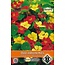 Van Hemert & Co Oost-Indische Kers (Tropaeolum m.n.) 'Whirlybird Mix'