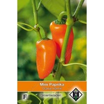 Mini Paprika oranje 'Hamik'