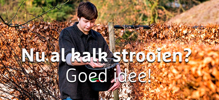 Kalk in de winter? Goed idee!