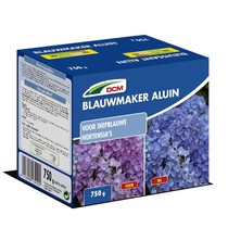 Blauwmaker Hortensia - Aluin