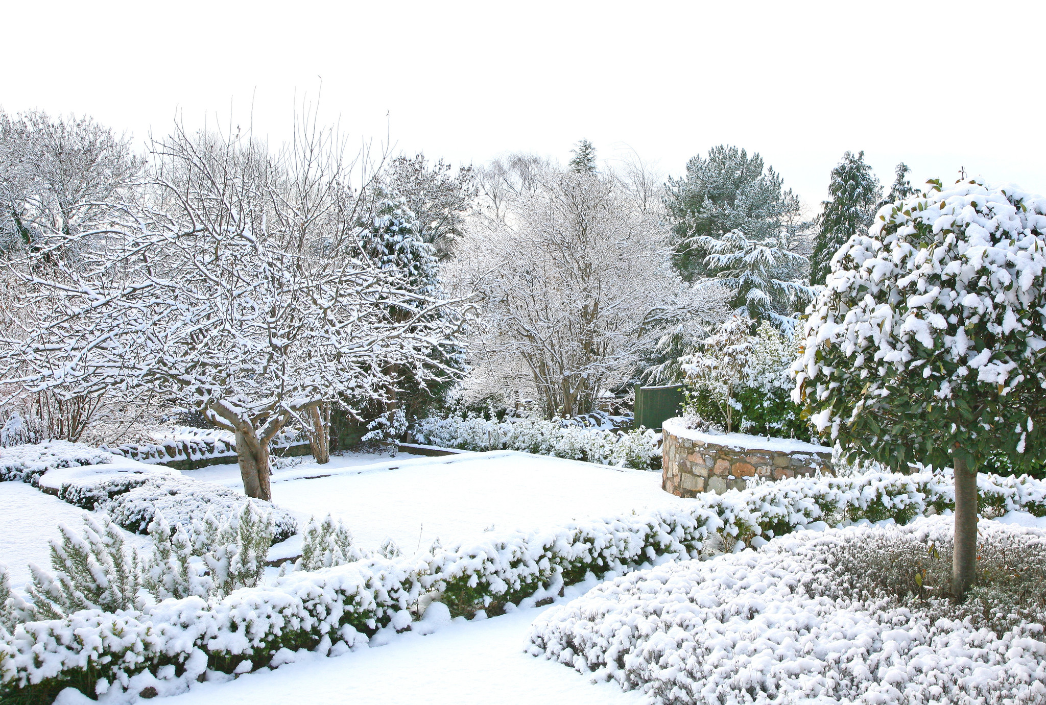 Hoe bescherm ik mijn tuin tegen vorst?