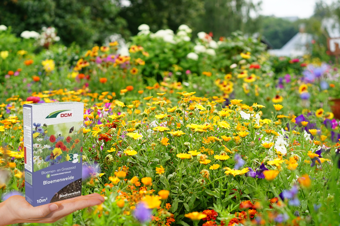 Wat zijn de voordelen van een gazon en bloemenweide?