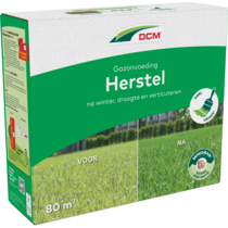 Gazon Herstel (3 kg)