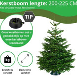 Echte kerstboom - Nordmann - 200-225 cm - Gezaagd