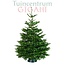 Echte kerstboom - Nordmann Excellent - Gezaagd Zonder Kluit - 375-400 cm