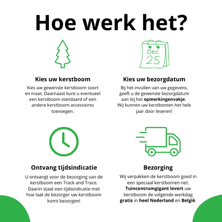 Echte kerstboom - Nordmann Excellent - Gezaagd Zonder Kluit - 125-150cm