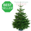 Echte kerstboom - Nordmann - 175-200 cm - Gezaagd
