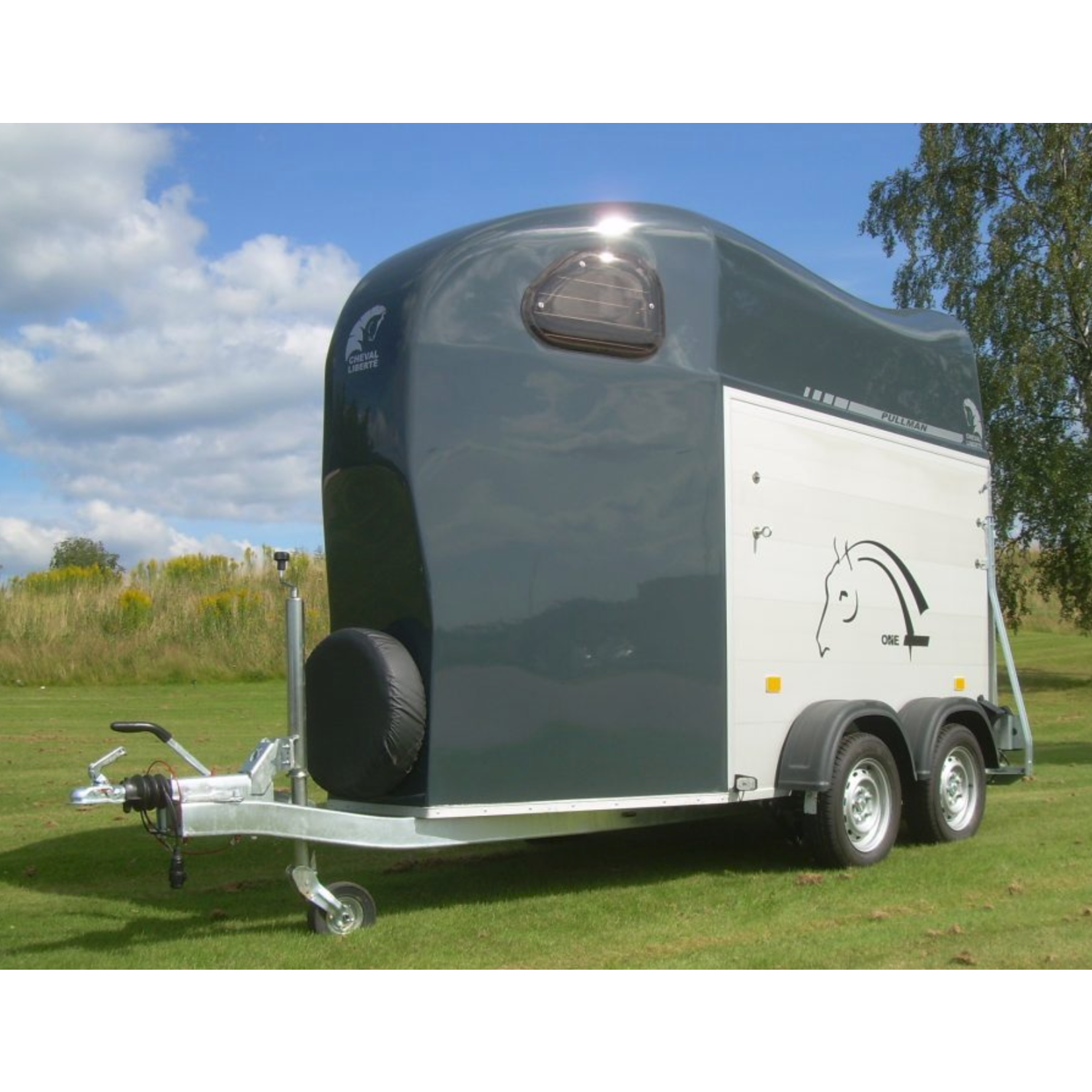 Cheval Liberté Gold One Plywood - Van pour chevaux