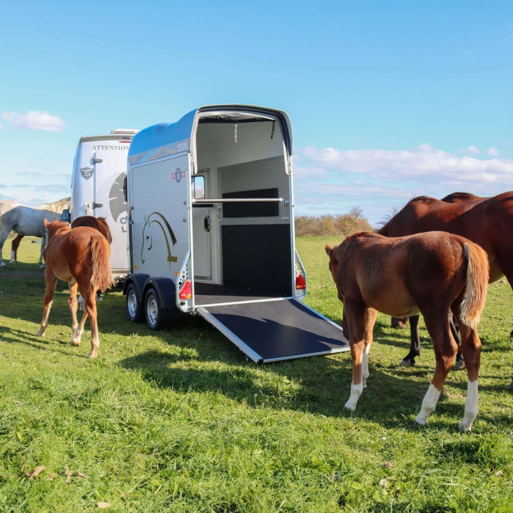 Cheval Liberté Cheval Liberté PT Gold One Origins Aluboden
